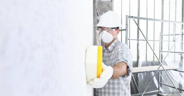 Asbestos and Lead Testing During Mold Inspection in Proctor, VT